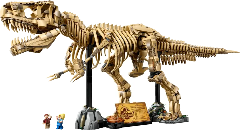 Dinosaur Fossils: Tyrannosaurus rex (76968)