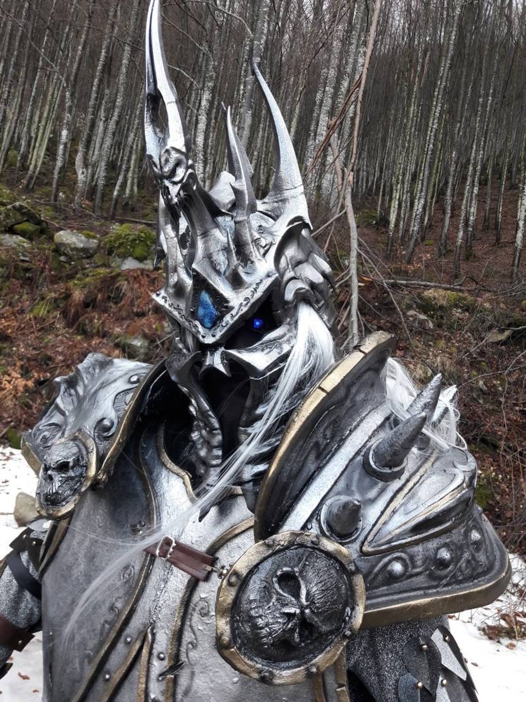 Lich King Arthas Full Armor (cosplay)